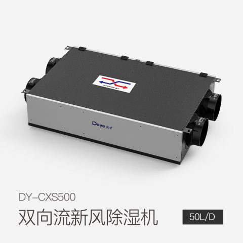 双向流新风除湿机DY-CXS500