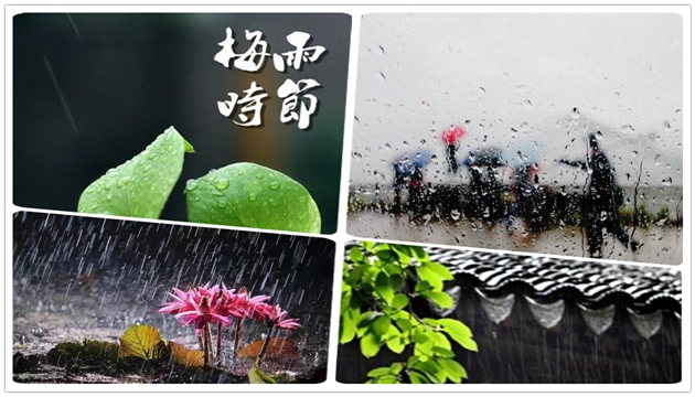 花式开窗也不抵一台（德业）除湿机